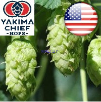 Хмель CITRA (Цитра), 2025г, 14.2%, 50г