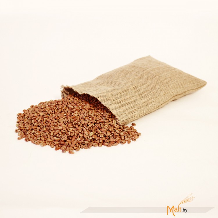 Солод Mroost Wheat MD пшеничный темный 1 кг (Бельгия)