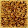 Солод Cara 120 MD карамельный 1 кг (Бельгия)