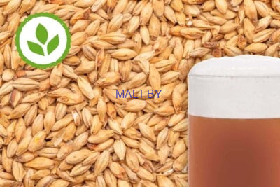 Солод Munich Dark (Мюних Дарк), 1кг (Bestmalz, Германия)