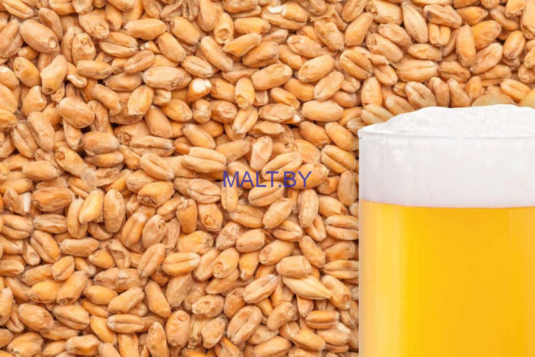 Солод Wheat Heidelberg (Пшеничный), EBC 2.5-3.5, 1кг, Bestmalz