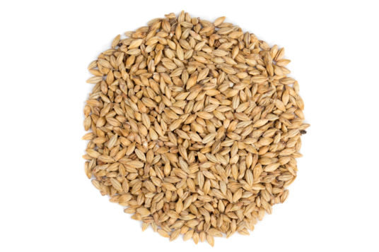Солод Пилснер (Pilsner) Sophus Fuglsang (Дания), 1кг