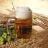 Баварское пшеничное пиво