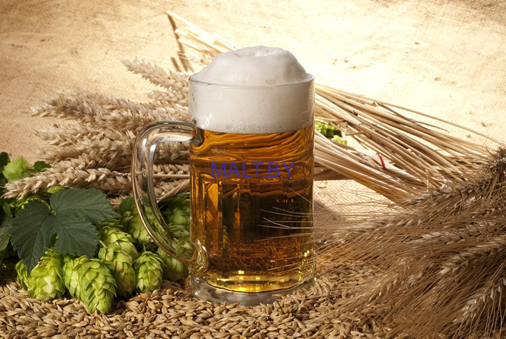 Viking Dark Bock