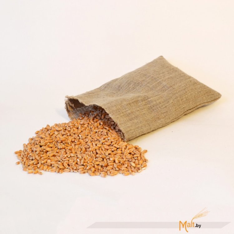 Солод Wheat Malt пшеничный 1 кг. (Австрия)