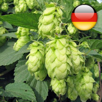 Хмель Mandarina Bavaria (Мандарина Бавария), 2021г,  10.6%, 50г