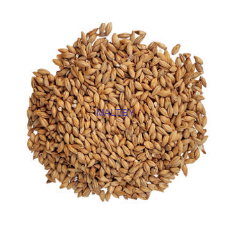 Солод ячменный Pilsner (Пилсен), EBC 3.9, (Optima), 1кг